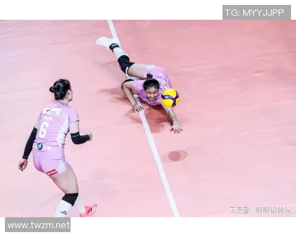 杭州排球队状态引发热议球迷与专家观点大相径庭