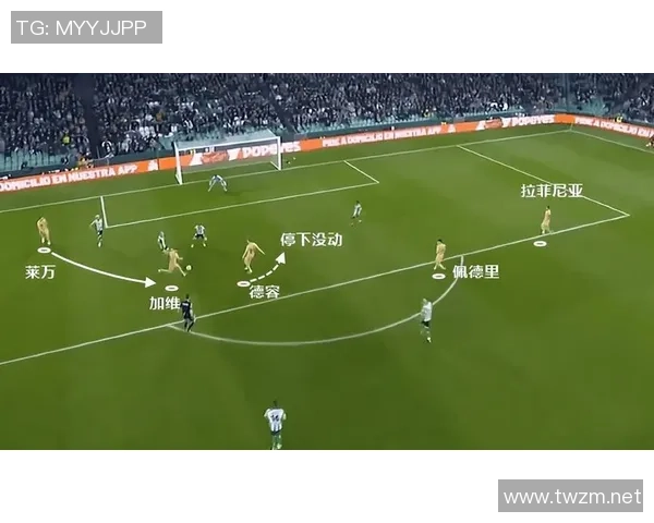 武汉乒乓球队快攻打法深度解析与战术优势探讨