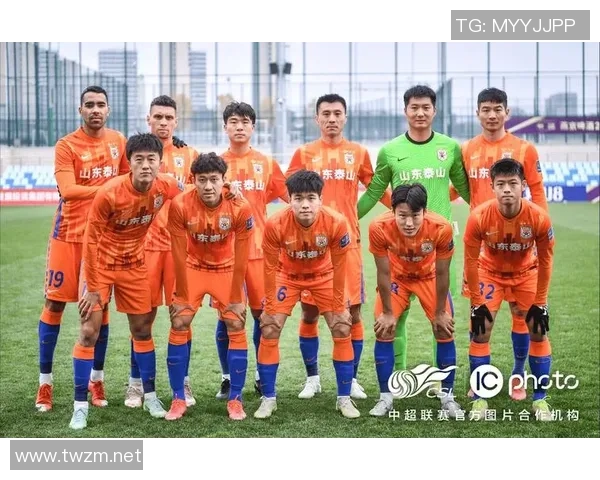 深圳与上海排球队赛后分析战术对决与比赛亮点全解析