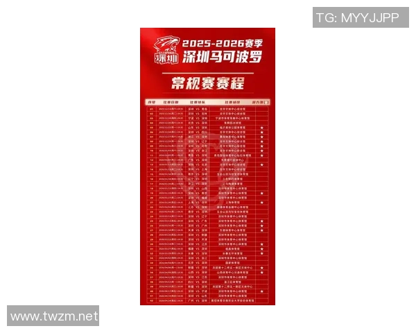 深圳篮球队状态火热稳居榜首最新篮球状态TOP10全面解析