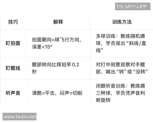网球新手攻略:技术入门指南 网球新手攻略:技术入门指南