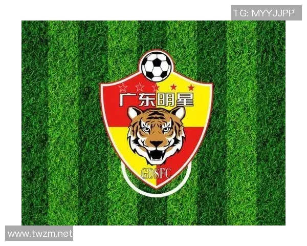 足球明星灯牌图片大全欣赏经典球星灯牌设计与创意展示 足球明星灯牌图片大全欣赏经典球星灯牌设计与创意展示