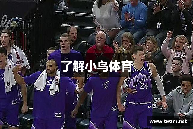 了解小鸟体育